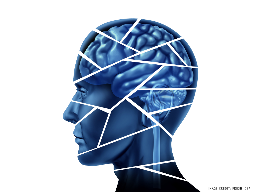 The Impact of Brain Damage on Education: An Interview with a Leading Vision Scientist