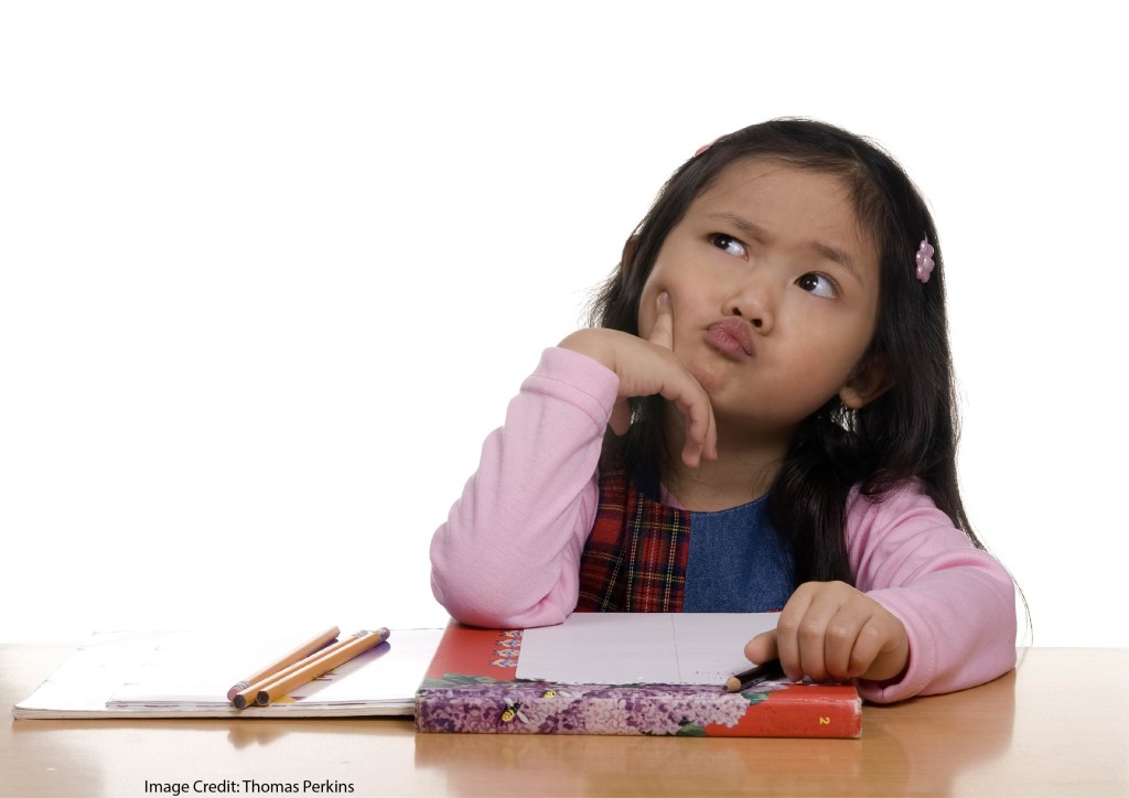 School, Self-Regulation, and the Brain